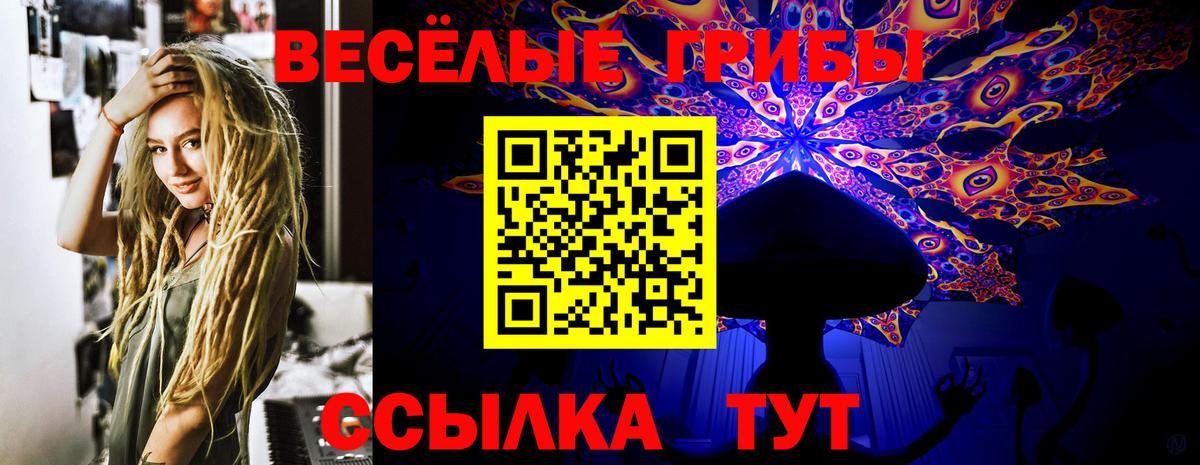 Псилоцибиновые грибы прущие грибы  Вход с VPN  Великие Луки 