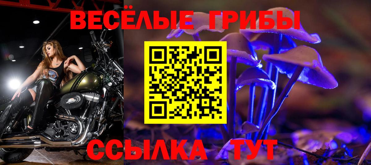 Галлюциногенные грибы GOLDEN TEACHER Великие Луки